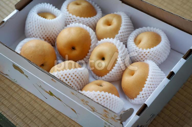 贈答用に並べられた梨のギフトセット 梨,果物,フルーツの写真素材