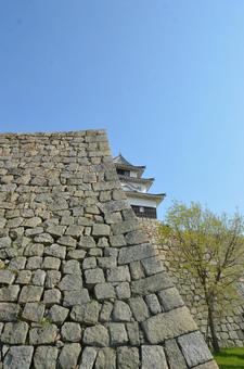 丸亀城　石垣 現存天守,丸亀城,石垣の写真素材