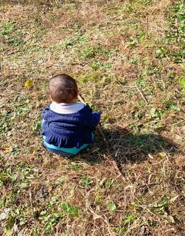 座っている赤ちゃん 座っている赤ちゃん おすわり,ちょこん,後ろ姿の写真素材