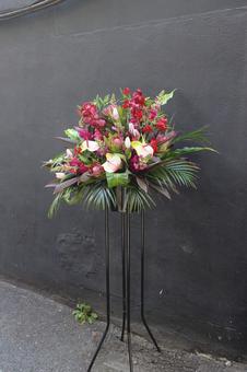 赤い花のスタンド花。黒い背景 おしゃれ,かっこいい,クールの写真素材