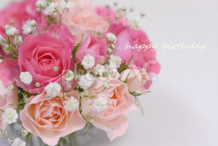 薔薇の誕生日メッセージ ピンク,アレンジ,濃淡の写真素材