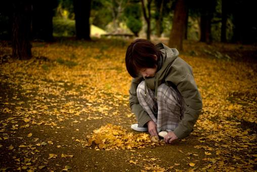 ＜素材＞イチョウ並木で落ち葉を集める女性 女性,紅葉,イチョウの写真素材