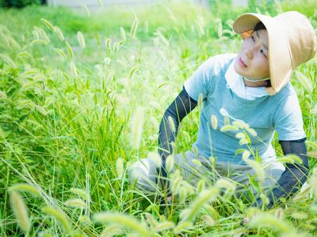 35:草むしりをする女性 35:草むしりをする女性の写真