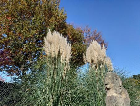 秋空と埴輪 空,木,風景の写真素材