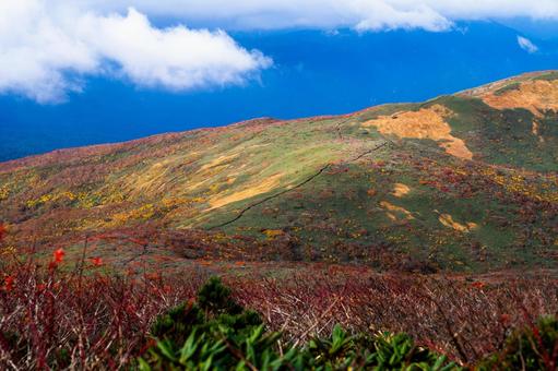 栗駒山 紅葉の登山道 栗駒山 紅葉の登山道 秋,紅葉,黄葉の写真素材