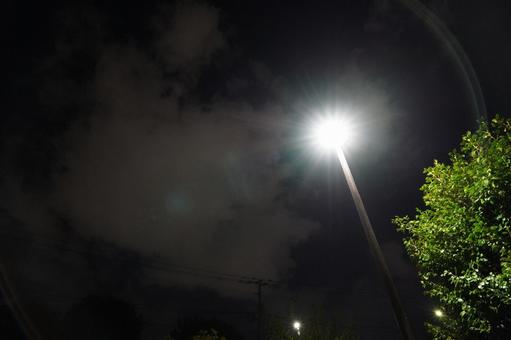 夜を照らす公園の街灯1 街灯,灯り,公園の写真素材