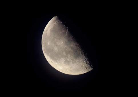 半月 半月 月,半月,夜空の写真素材