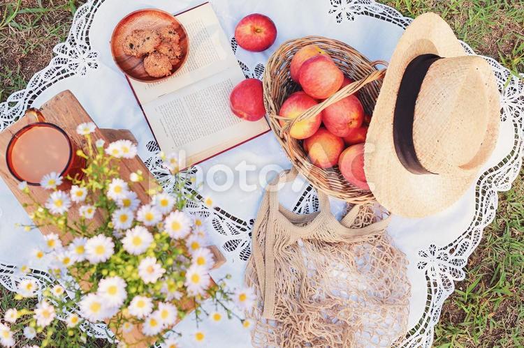 りんごとまったり時間 りんご,秋,まったりの写真素材