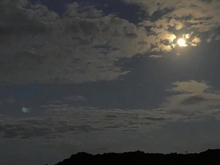 夕方の月 夕方の月 空,月,雲の写真素材