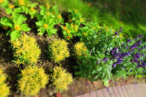 花壇 花壇の写真