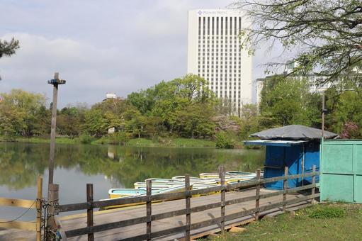 春の中島公園の写真