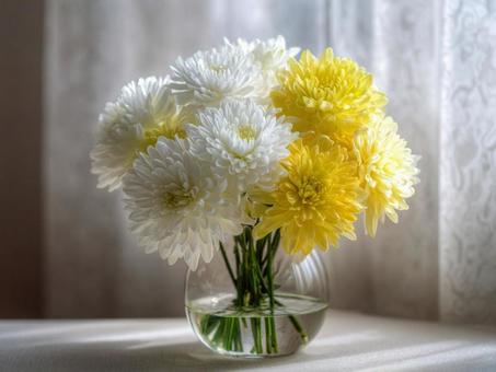 秋の菊で彩る癒しの空間の写真