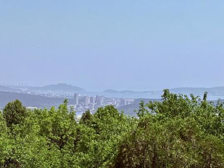 旅順港はまだ遠い 旅順港はまだ遠い 自然,木,山の写真素材