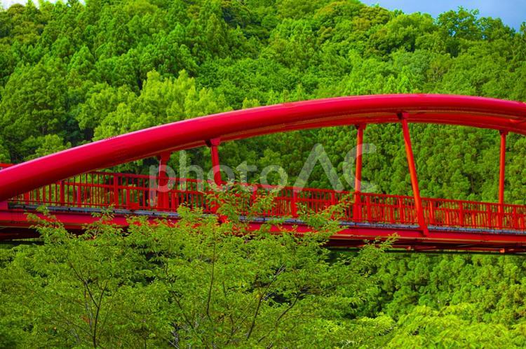森の中の赤い橋 山,夏,橋の写真素材