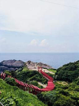 元乃隅稲荷神社 元乃隅神社,鳥居,連立鳥居の写真素材