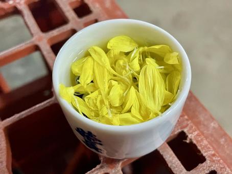 菊酒 菊酒,きくざけ,酒の写真素材