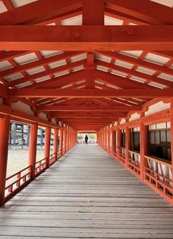 神社の朱色の回廊 神社の朱色の回廊 神社,回廊,朱色の写真素材