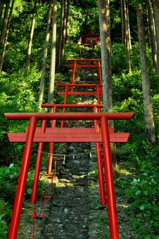 鳥居2 鳥居2の写真