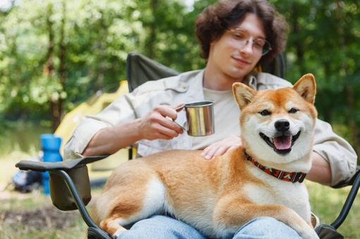 芝生で犬と遊ぶ男性 男性,外国人,犬の写真素材