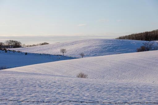 光と影が織りなす厚岸の静寂な雪景色 雪景色,丘陵,木の写真素材