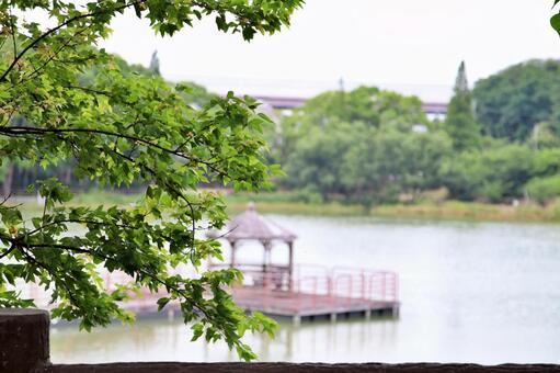 公園の風景 公園の風景の写真