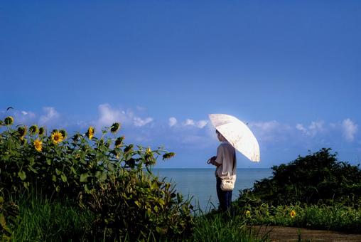 <素材>夏の海と向日葵を眺める日傘の女性 <素材>夏の海と向日葵を眺める日傘の女性 女性,ひまわり,空の写真素材