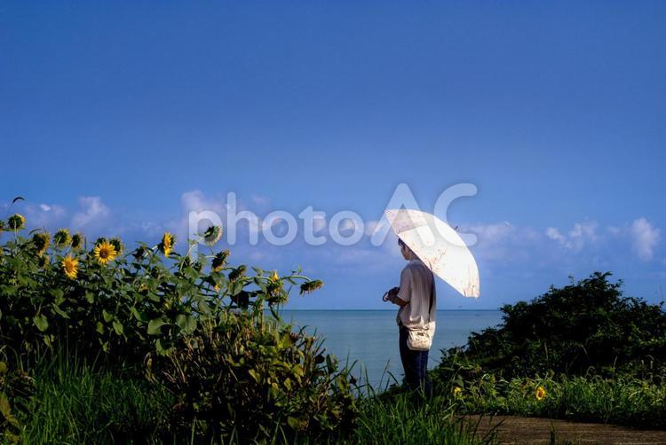 ＜素材＞夏の海と向日葵を眺める日傘の女性 女性,人物,夏の写真素材