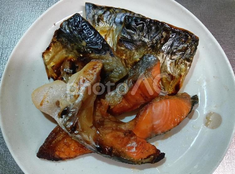 焼き魚（サバ、シャケ） 焼き魚,サバ,シャケの写真素材
