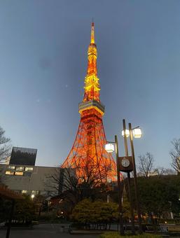 東京タワーの夜景の写真
