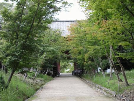 京都府-醍醐寺-仁王門と参道-境内側の写真