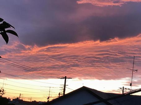 夕焼け空 夕焼け空の写真