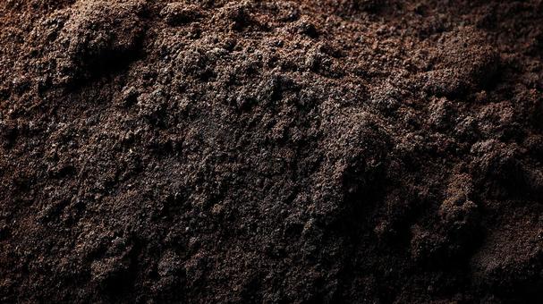 生命を育む豊かな黒土のクローズアップ 生命を育む豊かな黒土のクローズアップの写真