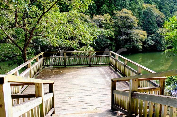 兵庫県立ゆめさきの森公園 山,木々,池の写真素材