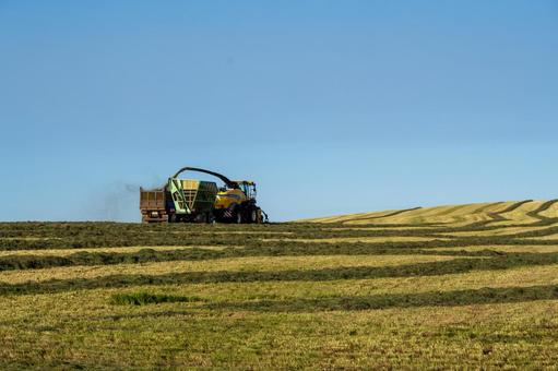 牧草地で農業機械による迫力ある収穫風景 牧草地で農業機械による迫力ある収穫風景 トラクター,干し草,収穫の写真素材