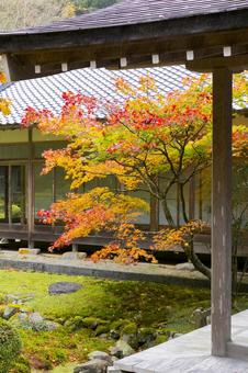千如寺大悲王院 千如寺大悲王院の写真