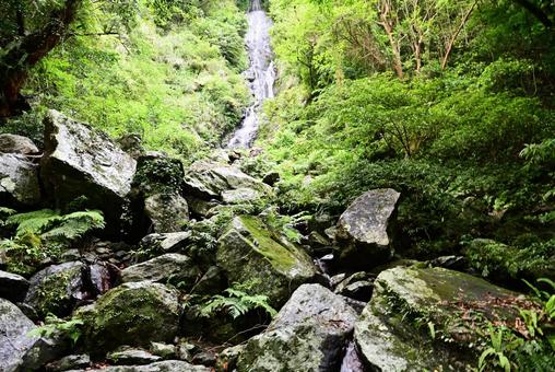 奄美大島風景~フナンギョの滝 奄美大島風景~フナンギョの滝 奄美大島,フナンギョの滝,風景の写真素材