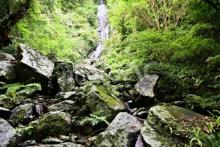 奄美大島風景～フナンギョの滝 奄美大島,フナンギョの滝,風景の写真素材