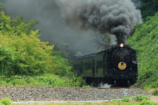 SLやまぐち号 D51 SLやまぐち号 D51の写真