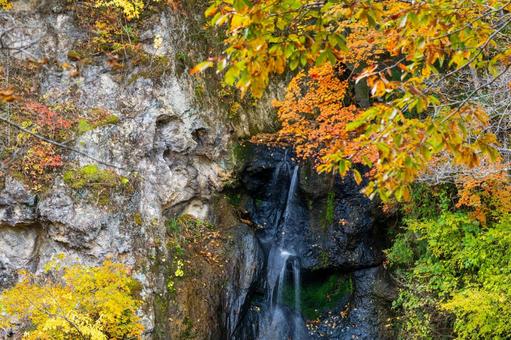 秋の磊々峡(54) 秋,紅葉,磊々峡の写真素材