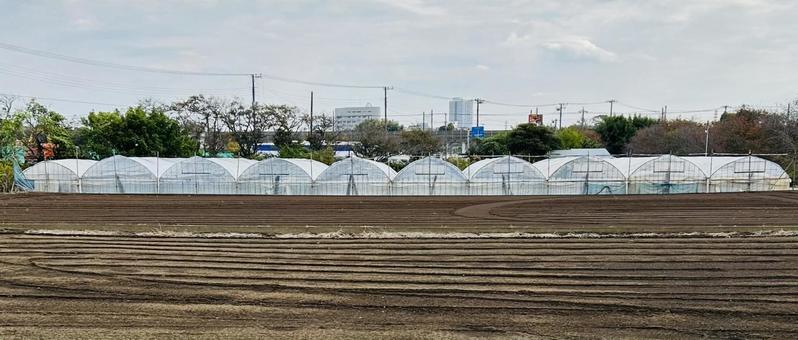 ビニールハウスの写真