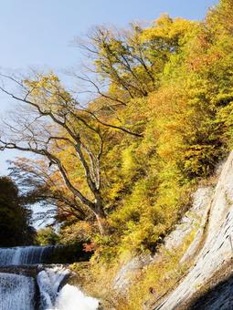 滑津大滝の秋⒃ 秋,紅葉,川の写真素材