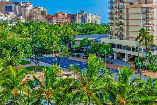 ハワイの椰子の木が茂るカラカウア通り ハワイ,ホノルル,ワイキキの写真素材