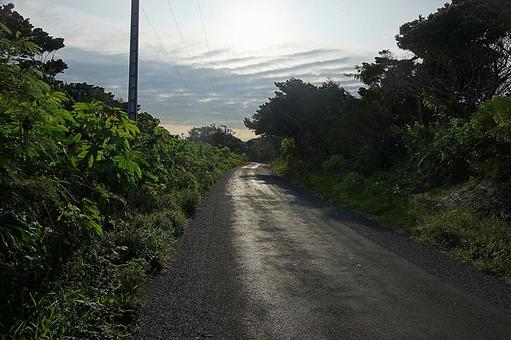 ニューカレドニア440　ウヴェア島　朝景の写真