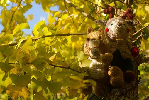 少年時代のあみぐるみ あみぐるみ,森,リスの写真素材