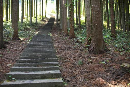 山道01 山道01の写真