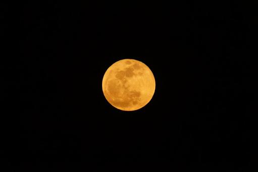 Photo, super moon, full moon, month, 