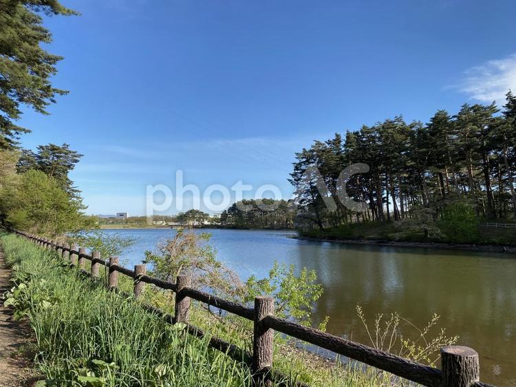 池と散歩 自然,景色,風景の写真素材