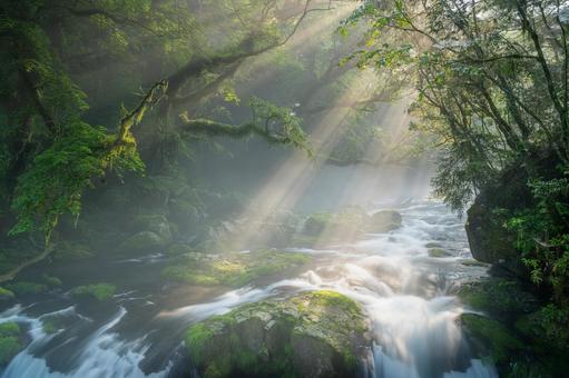 熊本-【菊池渓谷の光芒】 熊本,菊池渓谷,川の写真素材