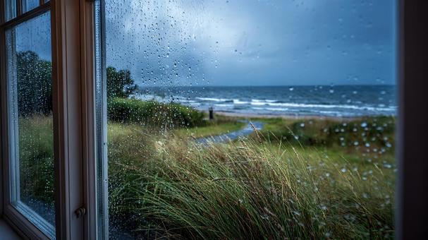 雨に濡れる海と庭の風景 雨に濡れる海と庭の風景の写真