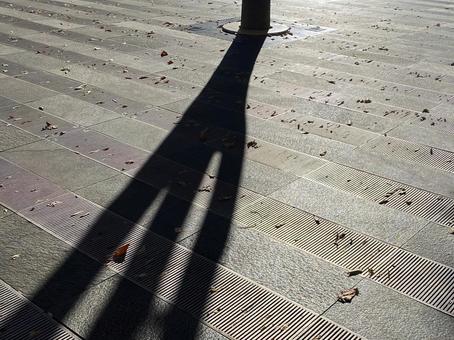 街路樹の影 街路樹の影の写真